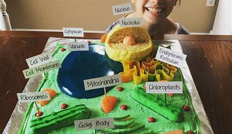 Plant cell cake Edible cell project, Plant cell cake