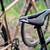 3d print bike saddle
