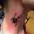 3d spider tattoo on neck