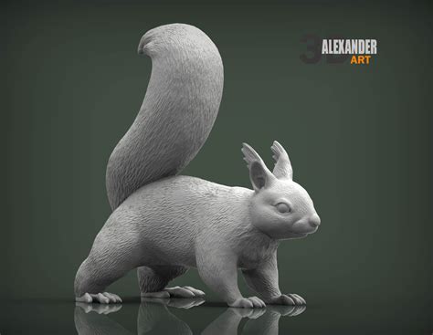 3d Model Squirrel