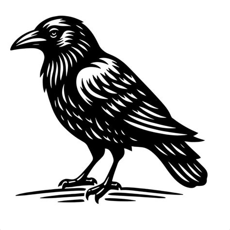 Crow svg crow cut files sublimation png svg for cricut png Etsy