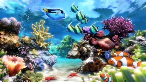 3d fish aquarium live wallpaper for pc