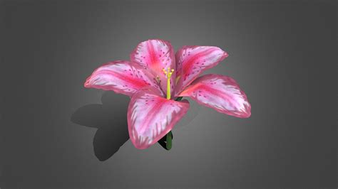 3d flower model