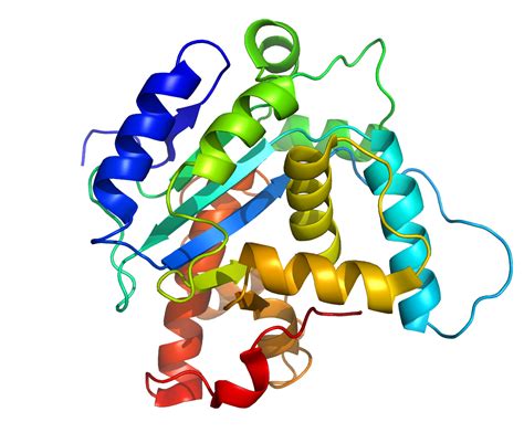 3d protein structure of an integral protein