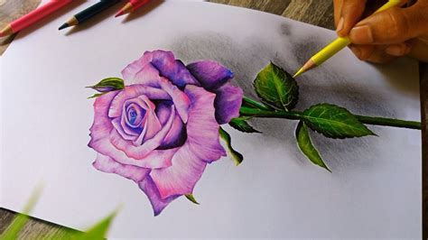 3d rose drawing easy