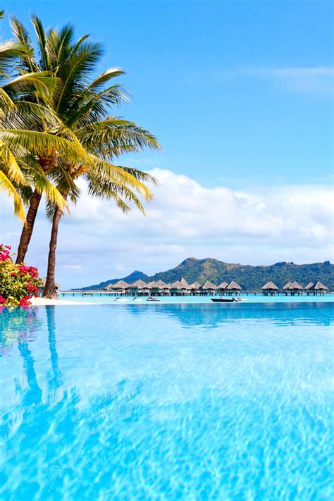 3d Wallpaper Iphone For Summer