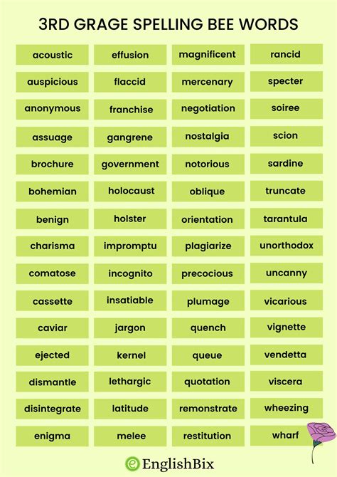 3rd spelling bee words