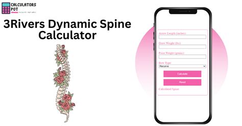 Revolutionize Your Spinal Health with 3rivers Dynamic Spine Calculator: A Comprehensive Solution for Optimal Alignment