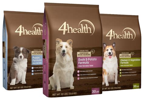 4 Healthy Dog Food