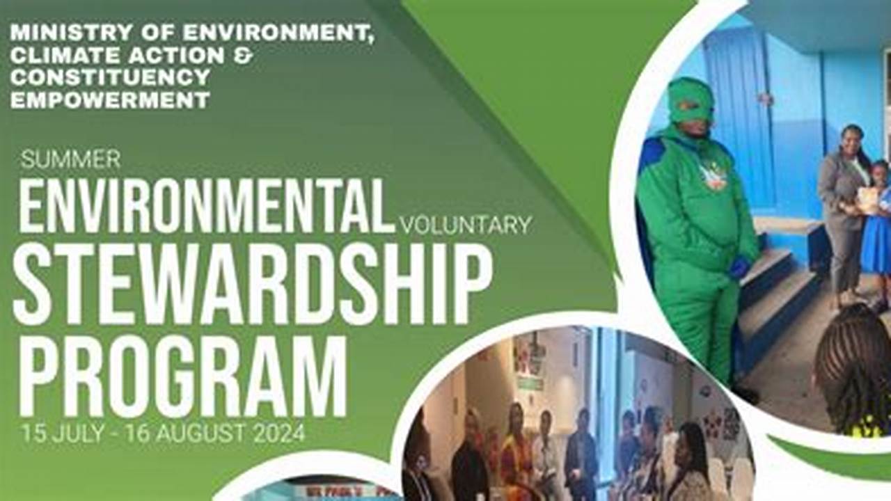 4 Week Internship Summer 2024