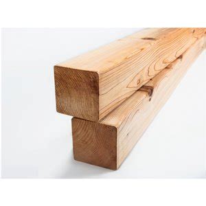 WeatherShield 4 in. x 4 in. x 41/2 ft. PressureTreated Wood Double V