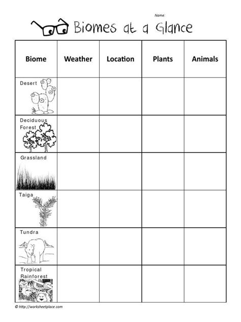 4 4 Biomes Worksheet Answers - worksheet