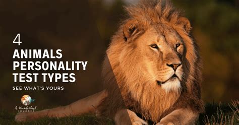 4 Animals Personality Test