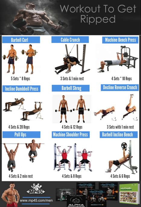 4 Day Workout Routine Get Ripped