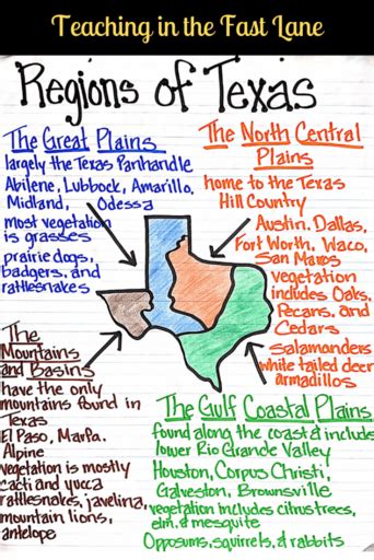 4 Regions Of Texas Worksheets