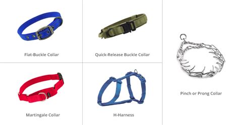 4 Types Of Dog Collars