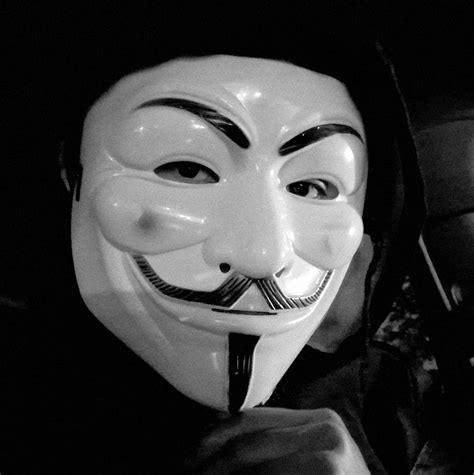 4 Types Of Mountain Dogs