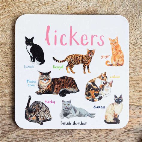 4 lickers cat