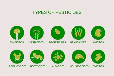 4 major types of pesticides