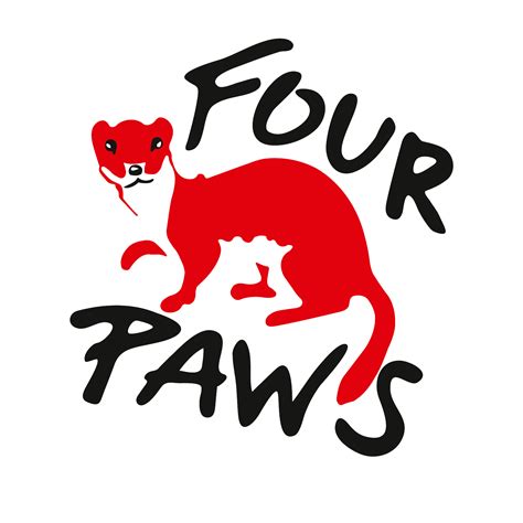 4 only paws