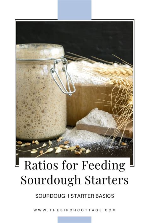 4. Calculating the Correct Feeding Ratio