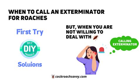 4. Call in an exterminator