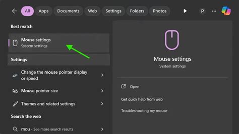 4. Check Mouse Settings