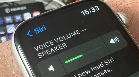 4. Check Siri volume on Apple Watch