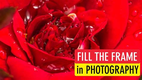 4. Check the frame and fill of the design