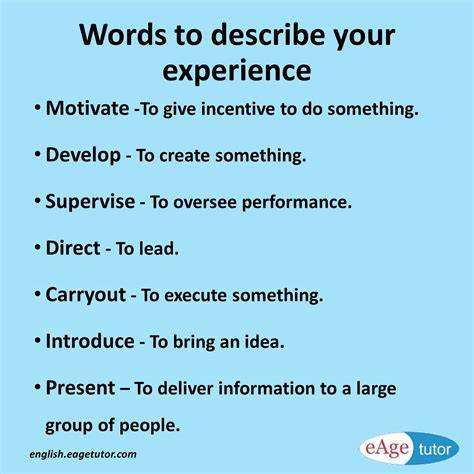 Describe Your Work Experience