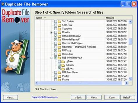 4. Duplicate File Remover