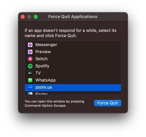 4. Force Quit the Zoom app