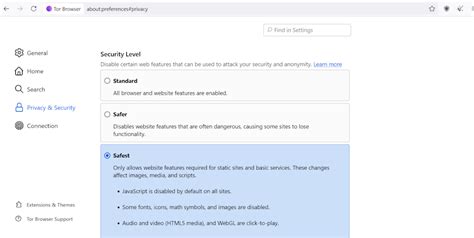 4. Review Browser Security Settings