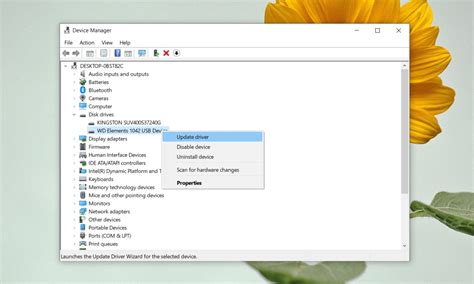 4. Update the Disk Drivers