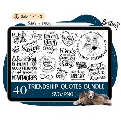 Download 40 Friendship Quotes Bundle Easy Edite