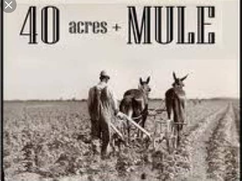 40 acres and a mule meaning