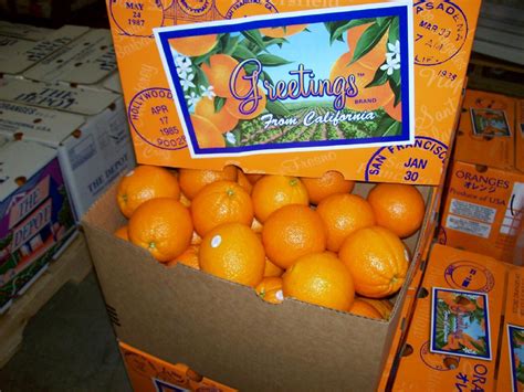 40 Lb Box Of Oranges