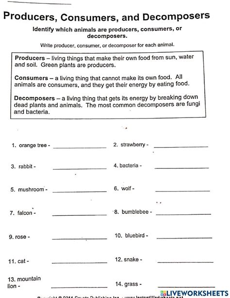40 producers and consumers worksheet - Worksheet Master