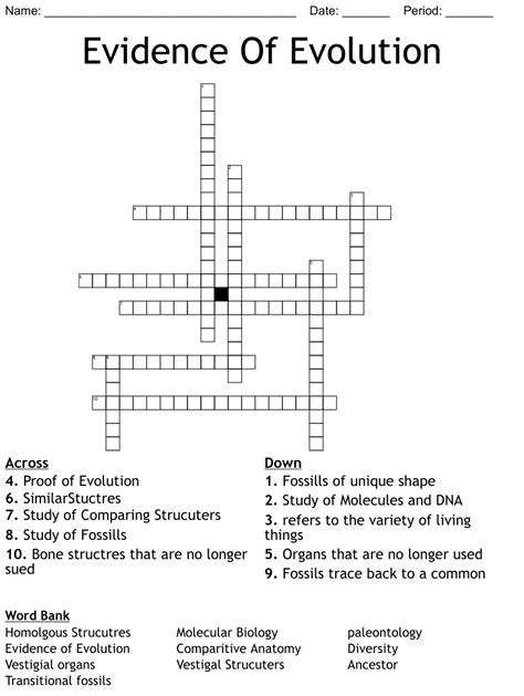 41 evidence of evolution worksheet answer key - Worksheet Database