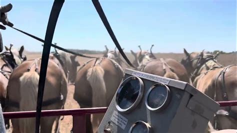 42. Combine practicality with warmth