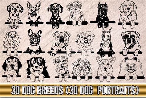 Download 460+ Dog Breeds Bundle PSD Printable
