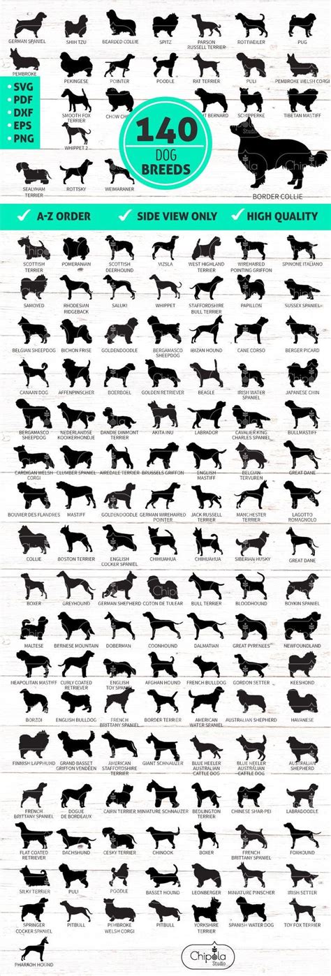 Download 460+ Dog Breeds Bundle PSD for Cricut Machine
