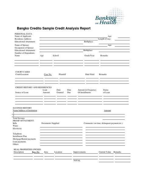 4657 File Sample Credit Analysis Report Blank and Completed | Credit