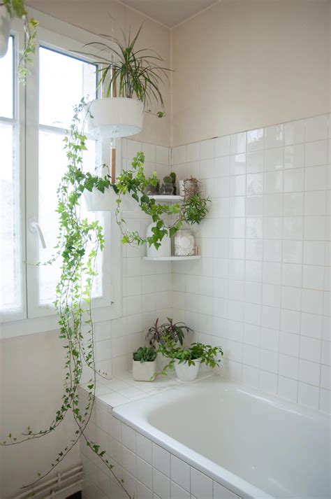49 bathroom design ideas with plants and flowers ideal for spring