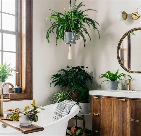 49 bathroom design ideas with plants and flowers ideal for spring