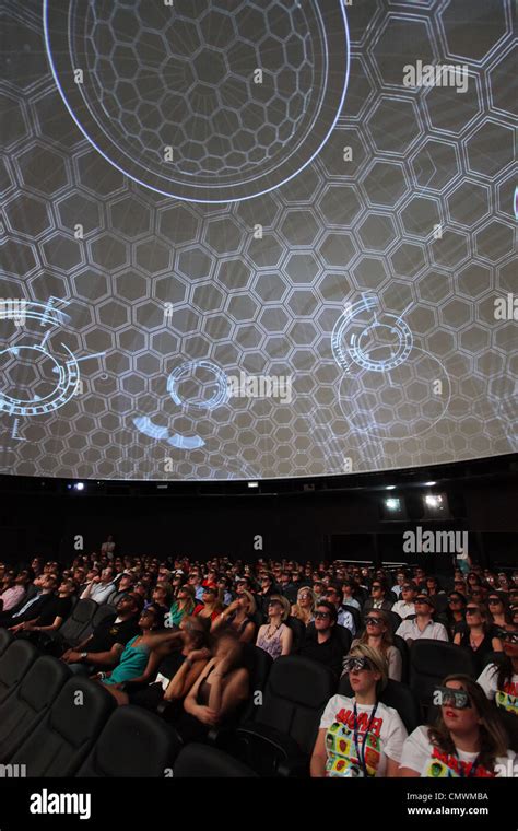 4D Experience Audience