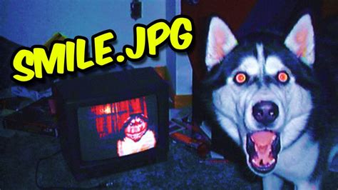 4chan Smile Dog