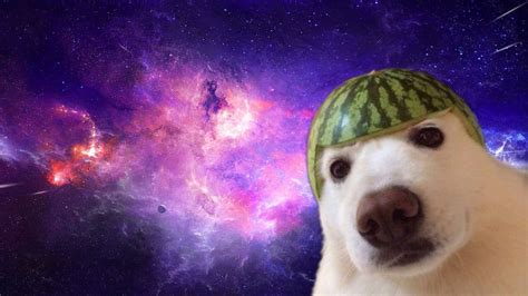 HD Meme Wallpapers