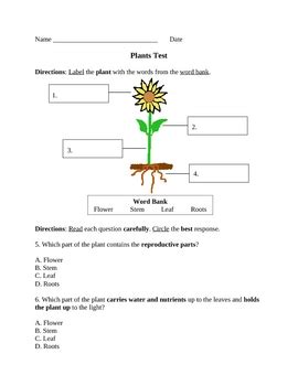 4Th Grade Science Worksheets On Plants