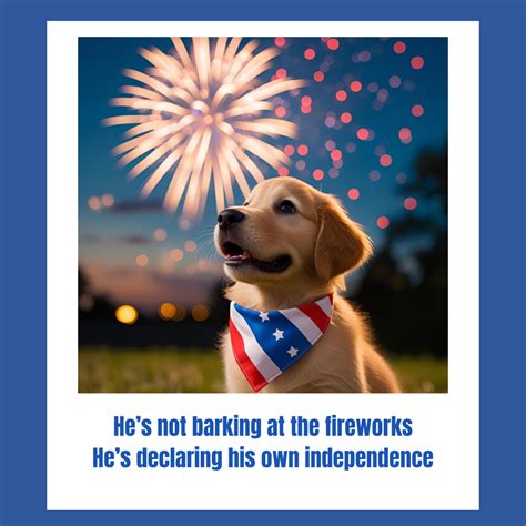 4th Of July Dog Meme